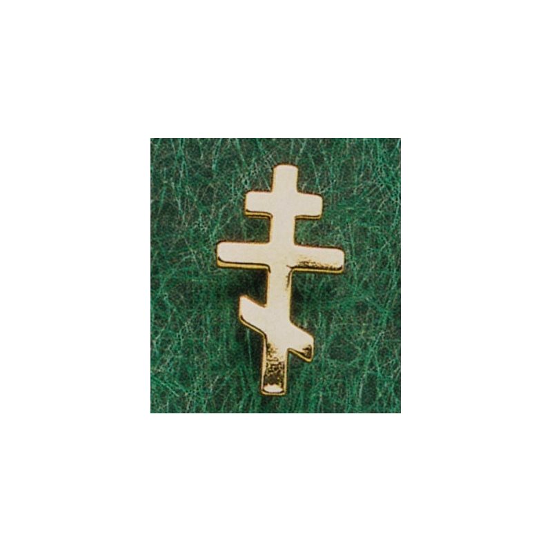 Lapel pin 